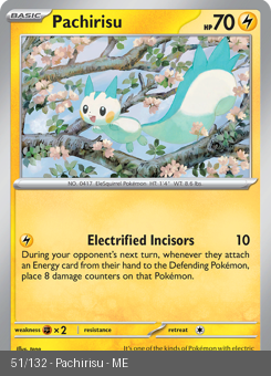 Meg - MEG - 51 - Pachirisu - COMMON - Normal