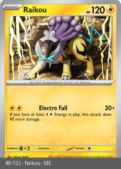Meg - MEG - 48 - Raikou - RARE - Holofoil